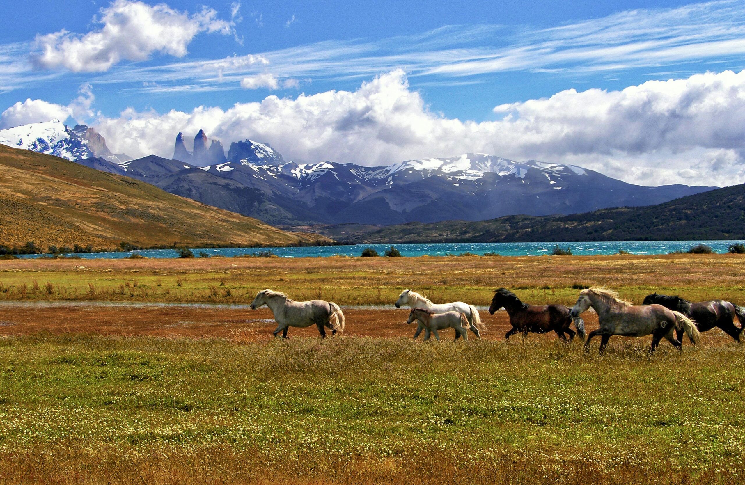 patagonia